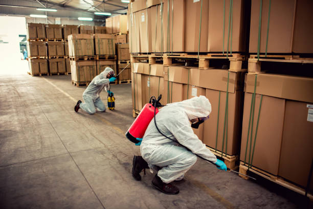 Best Mosquito Control Services  in Elmer, NJ