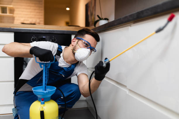 Best Residential Pest Control  in Elmer, NJ