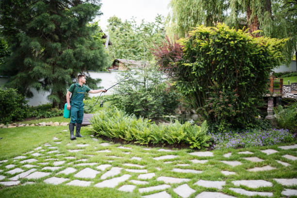 Best Pest Inspection Near Me  in Elmer, NJ
