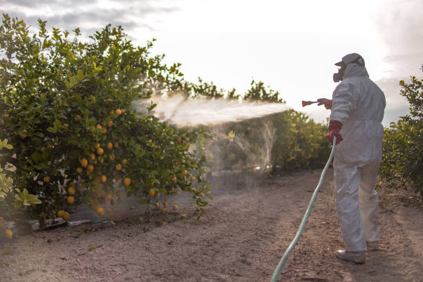 Best Commercial Pest Control Services  in Elmer, NJ