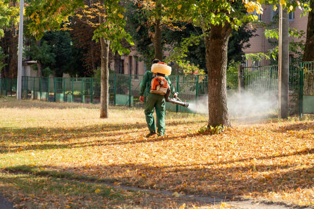 Best Pest Control Near Me in Elmer, NJ