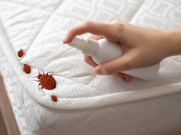 Best Pest Inspection Near Me  in Elmer, NJ