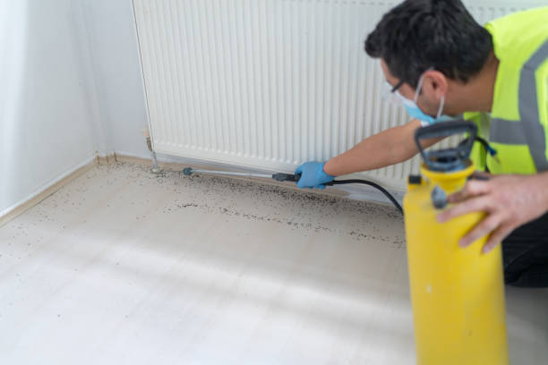 Best Emergency Pest Control  in Elmer, NJ